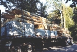 img1.jpg