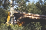 img3.jpg